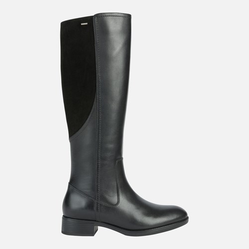 Bottes à Talons Geox Felicity Abx Femme Noir | NOUBTP028
